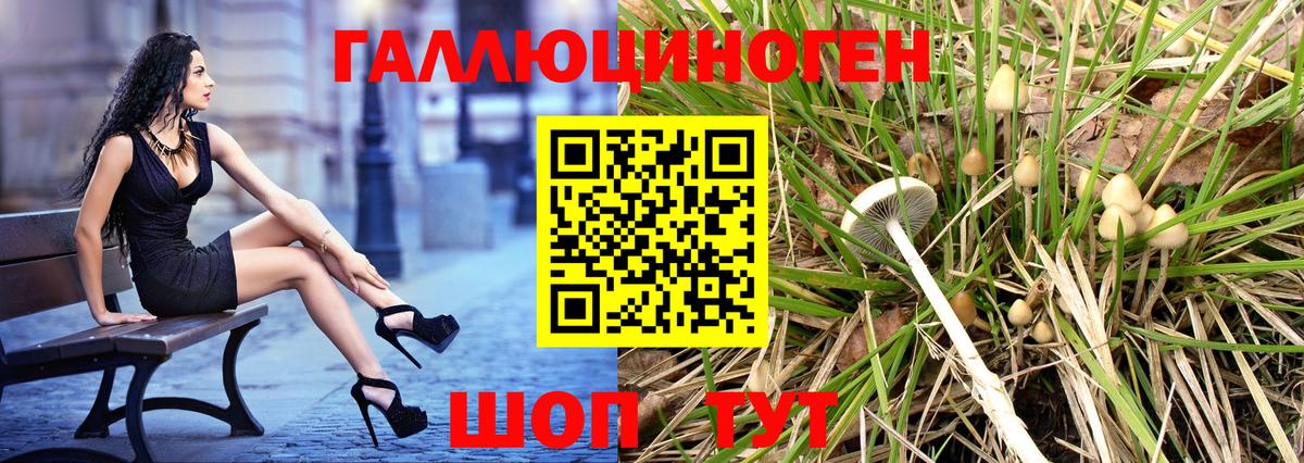 Псилоцибиновые грибы Magic Shrooms  Вход с VPN  Истра 