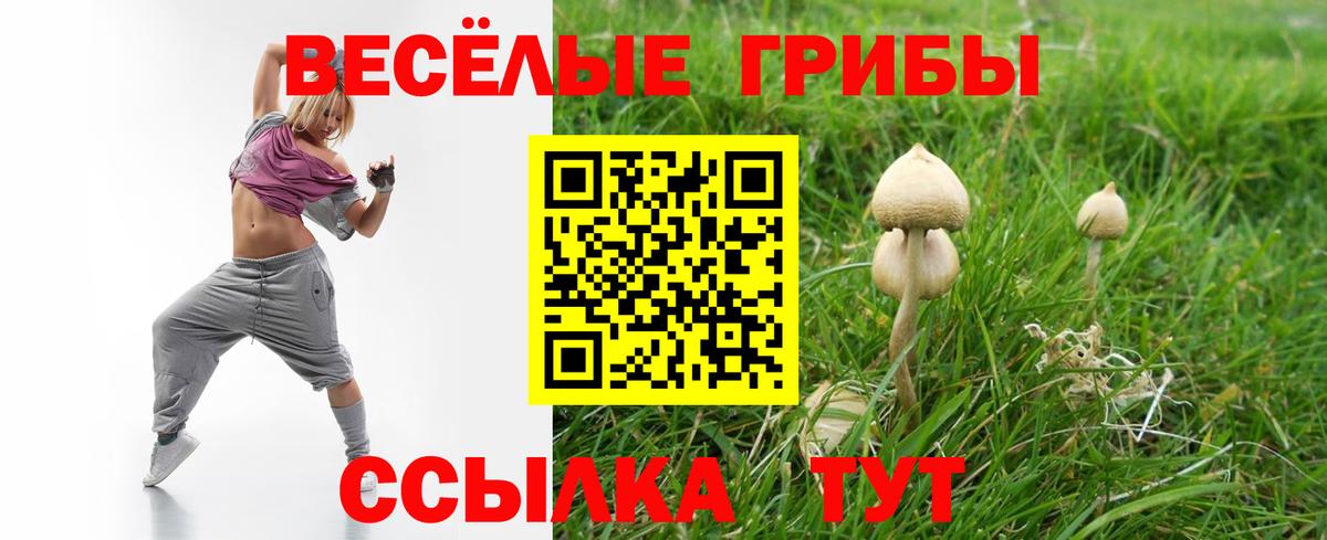 Галлюциногенные грибы прущие грибы Истра